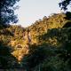 Descripción: Selva alta cerca de la catarata de Ahuashiyacu, Cordillera Escalera.